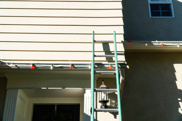 Best Brick Veneer Siding  in Wrightstown, WI