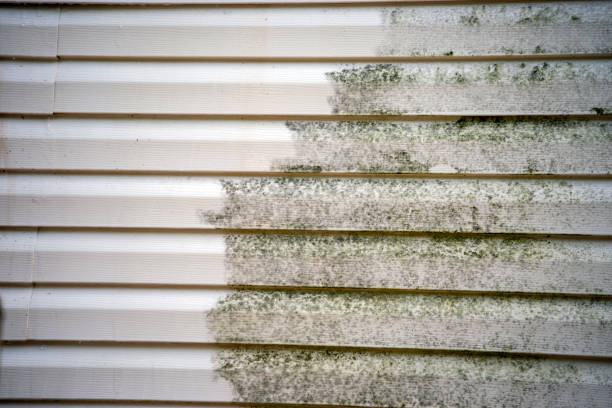 Siding Removal and Disposal in Wrightstown, WI