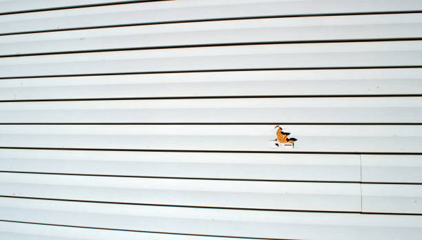  Wrightstown, WI Siding Installation Pros