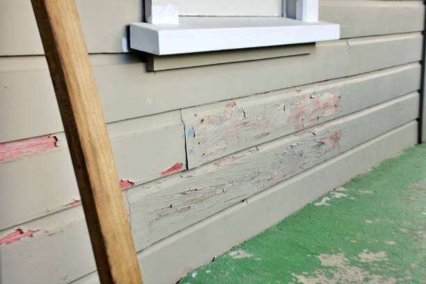 Best Storm Damage Siding Repair  in Wrightstown, WI